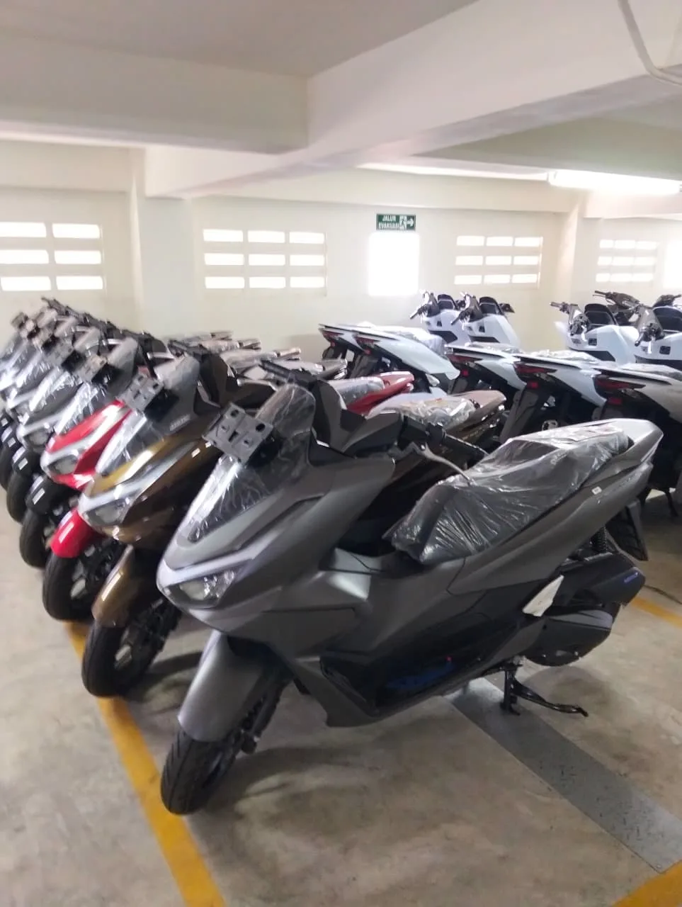 6 dealer honda motor pasuruan 6 dealer honda motor pasuruan
